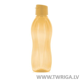 Eco Bottle, Cap with Drinking Spout