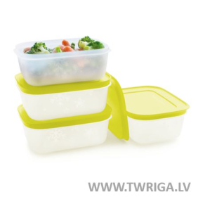 FreezerSmart zemais (4 gab.)